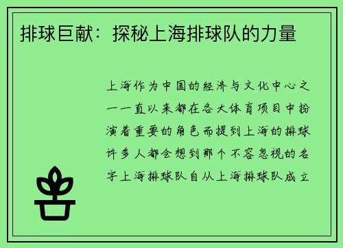 排球巨献：探秘上海排球队的力量